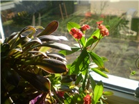 6adffa50-Picture 6774.jpg